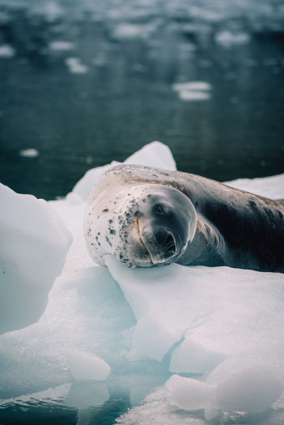 Pole2Pole trwa - Marek Kamiński po pierwszych etapach wyprawy