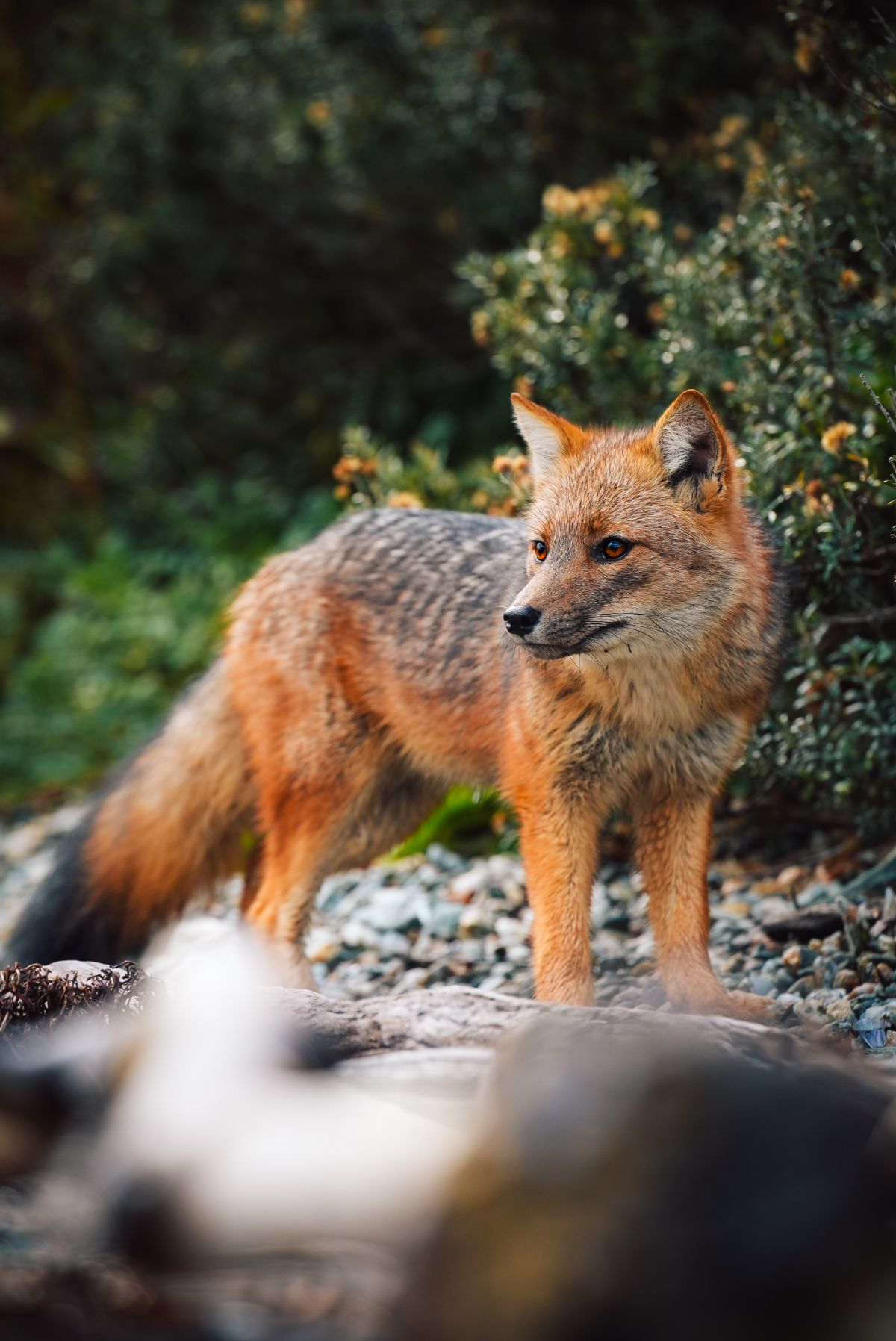 Pole2Pole trwa - Marek Kamiński po pierwszych etapach wyprawy